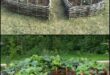 easy garden ideas