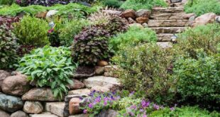 landscaping on a slope