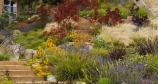 landscaping hillside