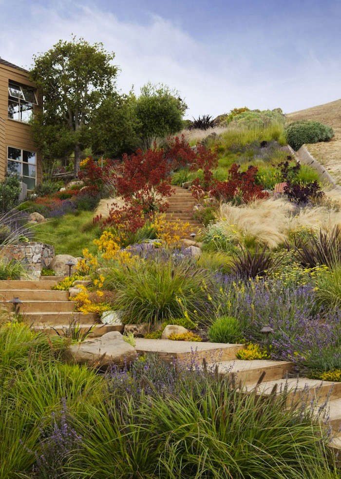 Sloping Serenity: How to Transform a Hillside with Creative Landscaping