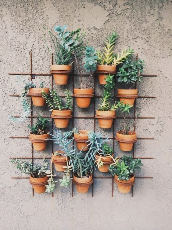 Small Garden DIY: Enhancing Your Outdoor Space with Creativity