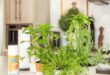 kitchen herb garden planter