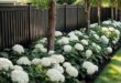 front lawn landscape ideas