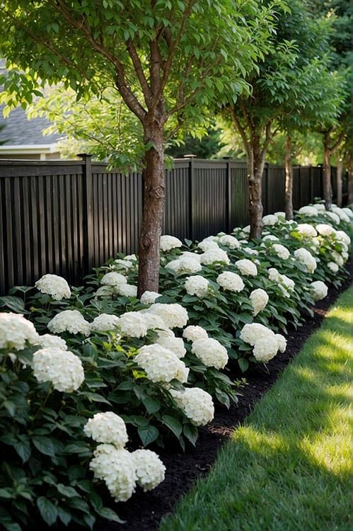 Sprucing Up Your Front Yard: Creative Landscape Designs to Enhance Curb Appeal