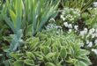 flower bed ideas