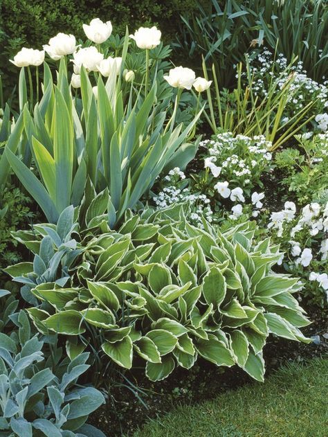 flower bed ideas