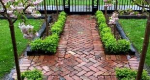 landscape ideas front yard