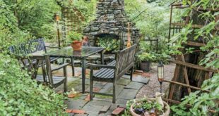 patio garden ideas