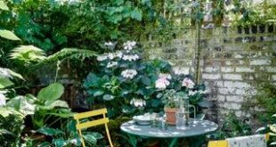 patio garden ideas