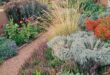 landscaping xeriscape