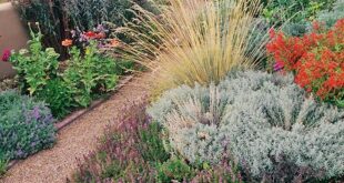 landscaping xeriscape