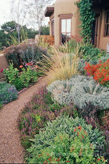 Sustainable Gardening: The Benefits of Xeriscape Landscaping