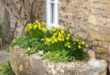 garden planter concrete