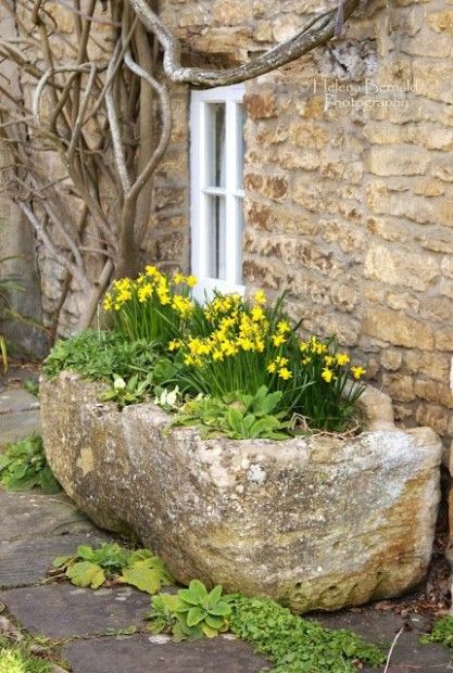 Sustainable and Stylish: The Beauty of Garden Planter Concrete