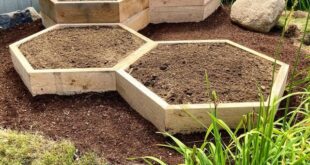 raised bed gardens