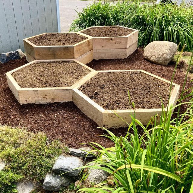 The Advantages of Raised Bed Gardens for Growing Plants