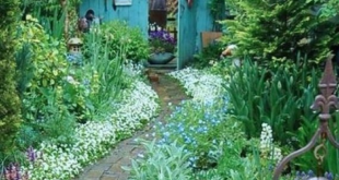 cottage gardens