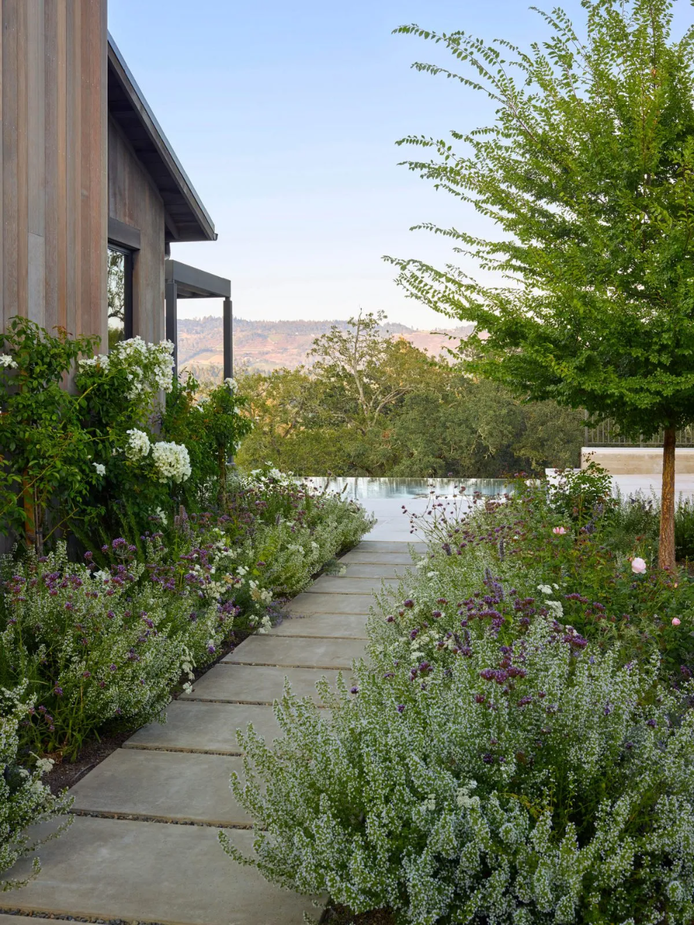 The Art of Creating a Contemporary Garden