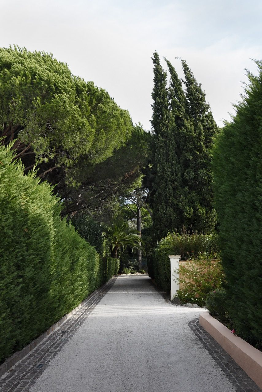 The Art of Creating a Stylish Driveway