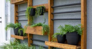 vertical gardening