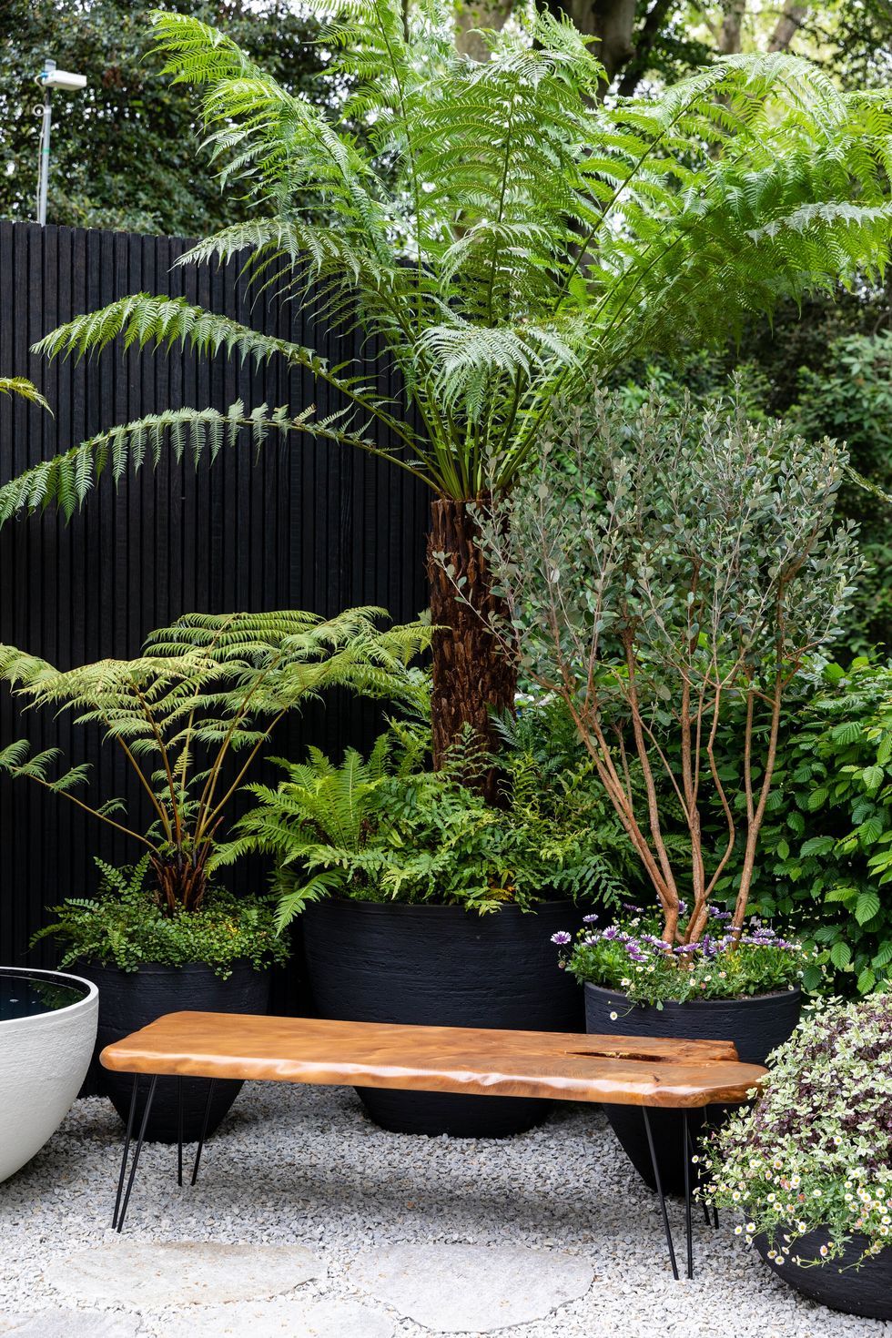 The Art of Incorporating Trees into Your Garden Design