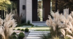 modern landscape design front yard