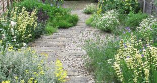 garden path