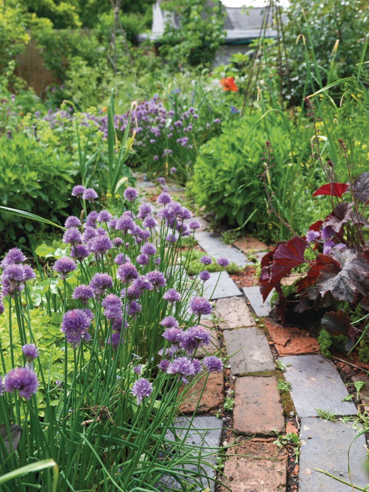 The Beautiful and Tranquil Garden Path