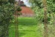 metal garden arches