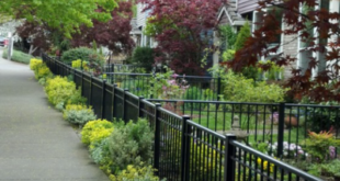 front yard fence