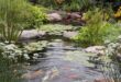 garden pond