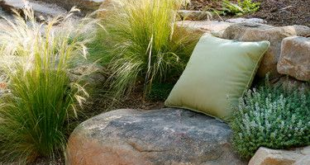 landscaping with ornamental grasses