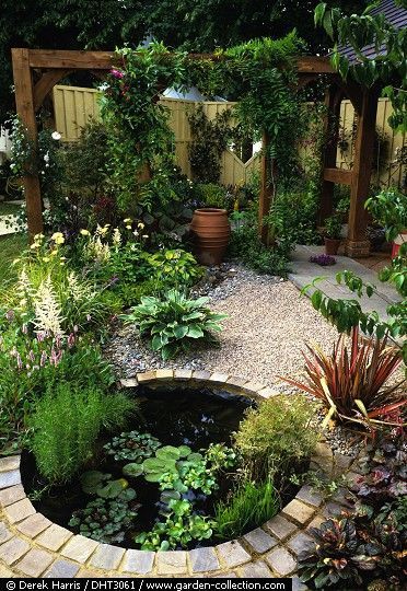 The Beauty of Backyard Ponds: A Tranquil Addition to Your Outdoor Space