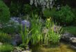 small garden ponds ideas