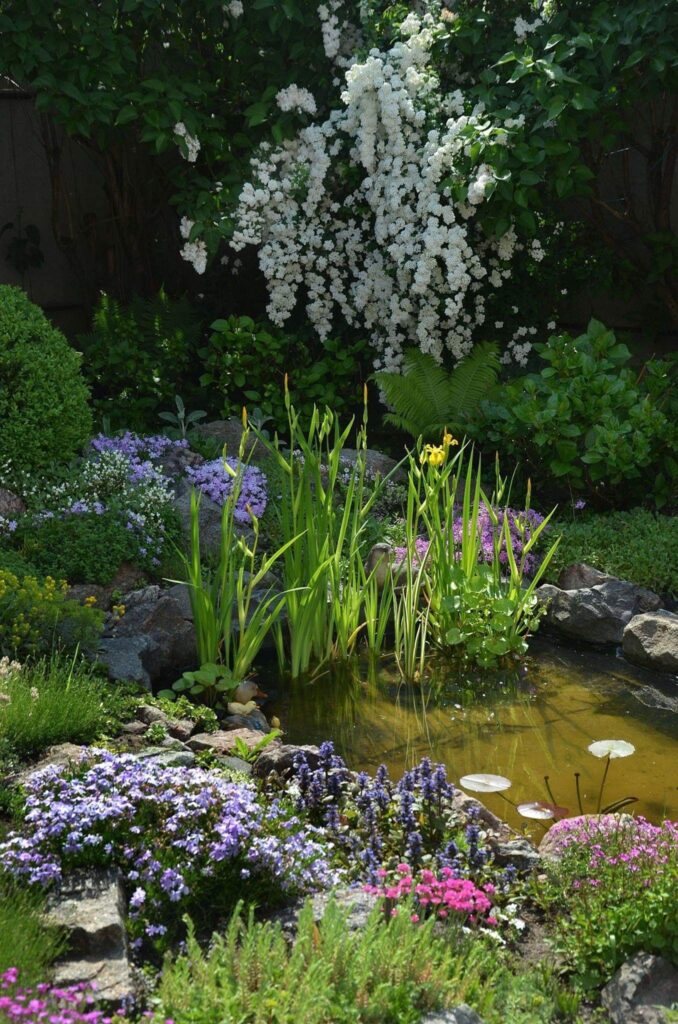 small garden ponds ideas