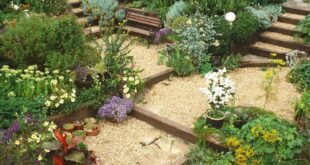 landscape designs