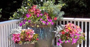 deck planters