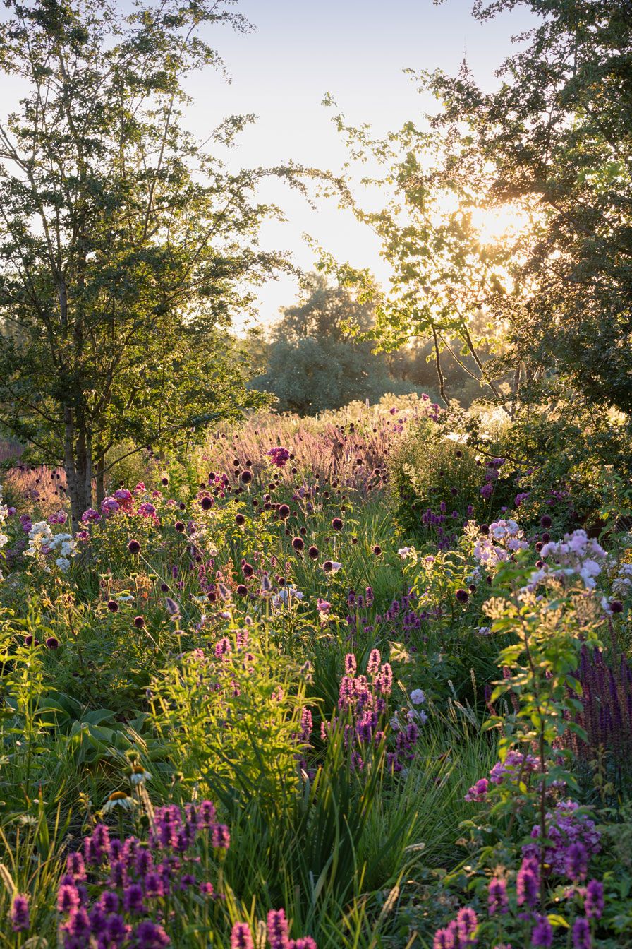 The Beauty of English Gardens, A Delightful Escape for Nature Lovers