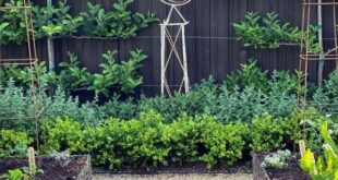 french garden planters