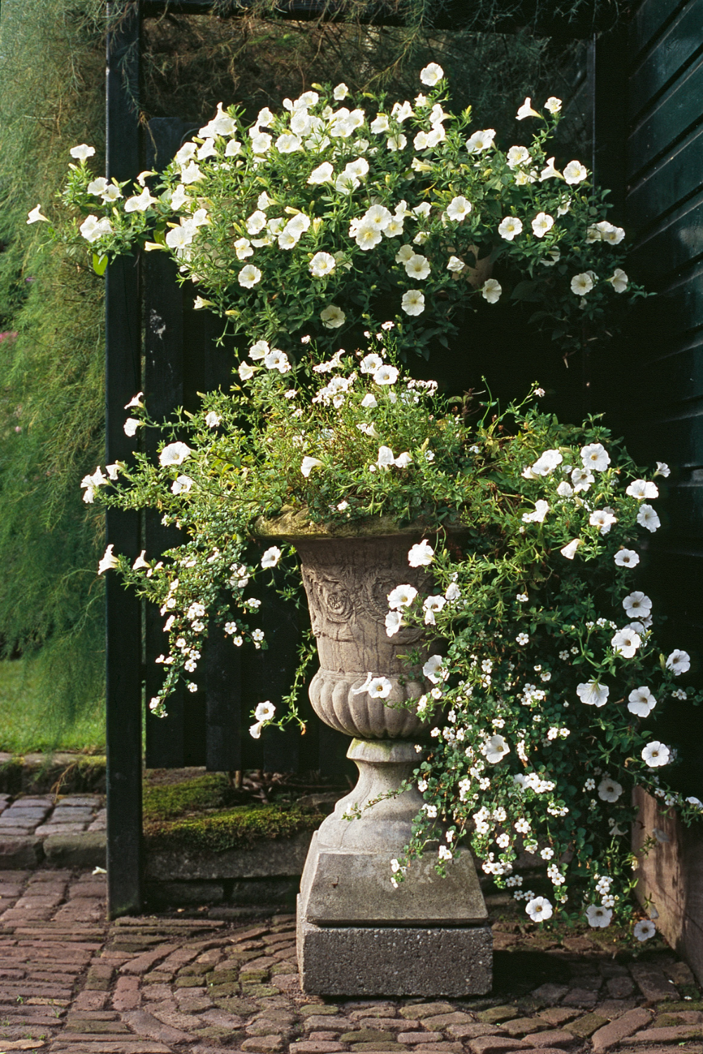 The Beauty of French Garden Planters