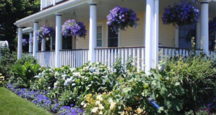 landscaping in front of porch