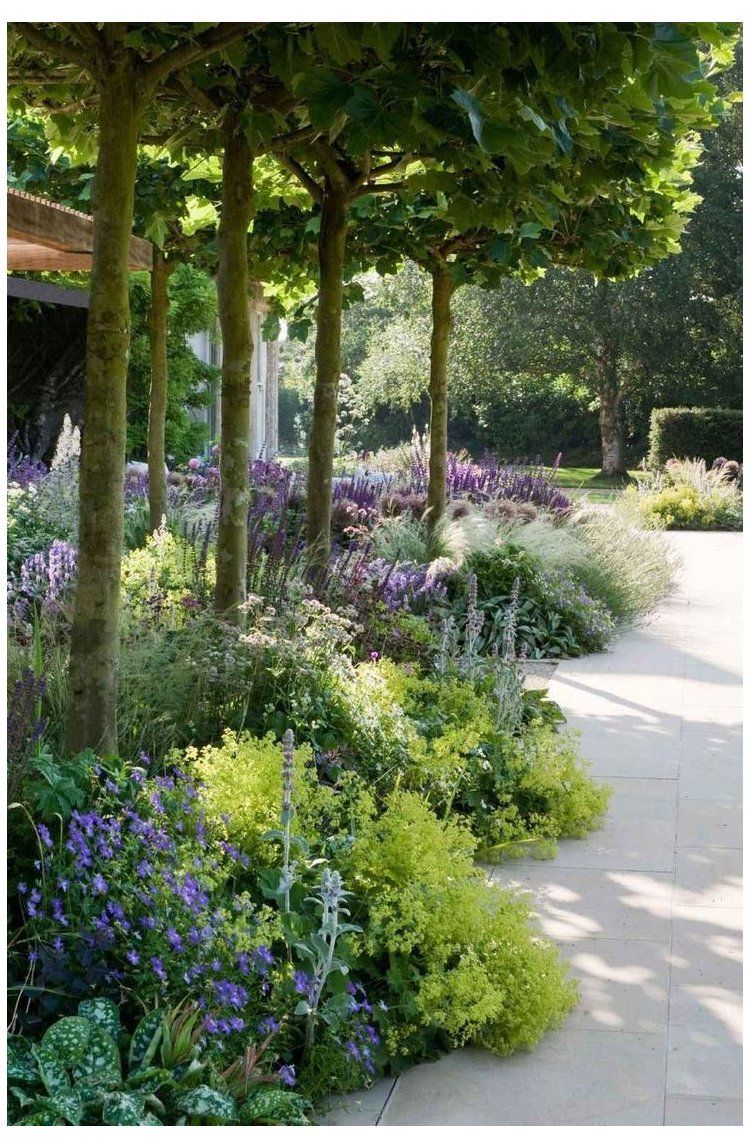 The Beauty of Front Yards: A Welcoming Entrance to Your Home