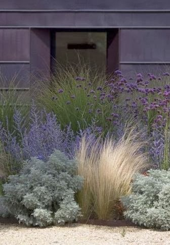 The Beauty of Front Yards: A Welcoming Introduction to Your Home