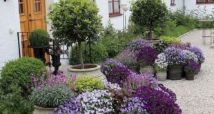 garden containers