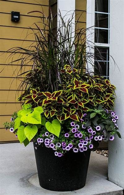 The Beauty of Garden Containers: A Potting Guide for Every Plant Lover