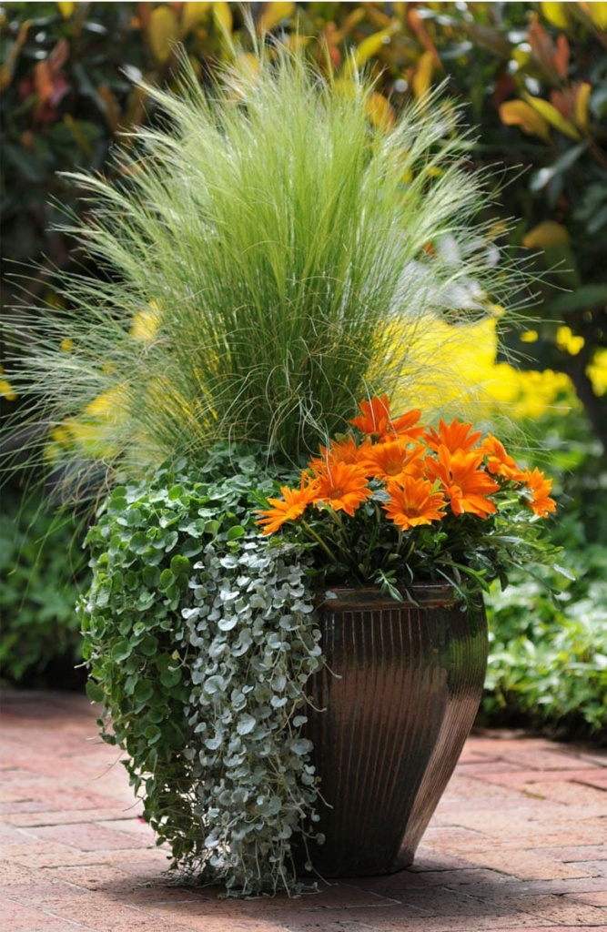 garden containers