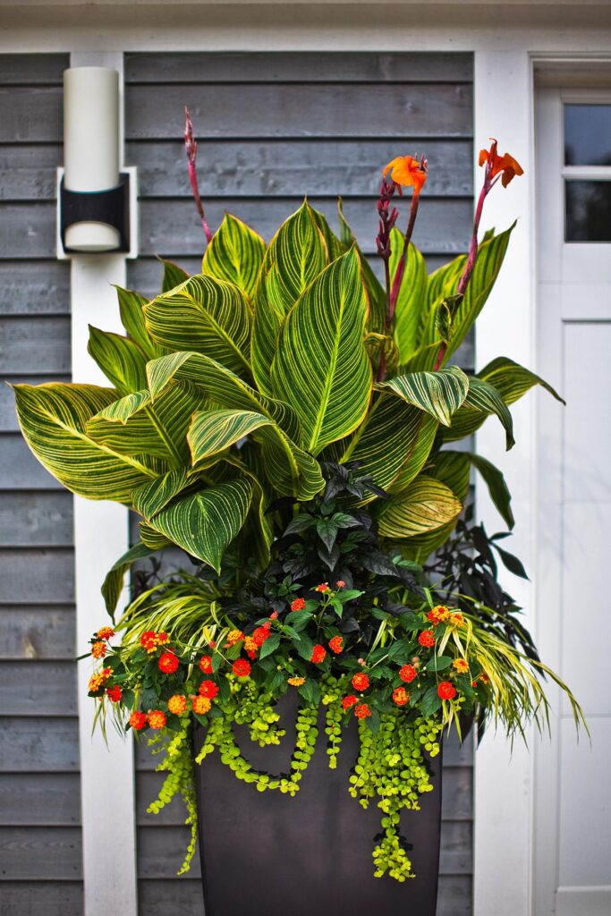 garden containers