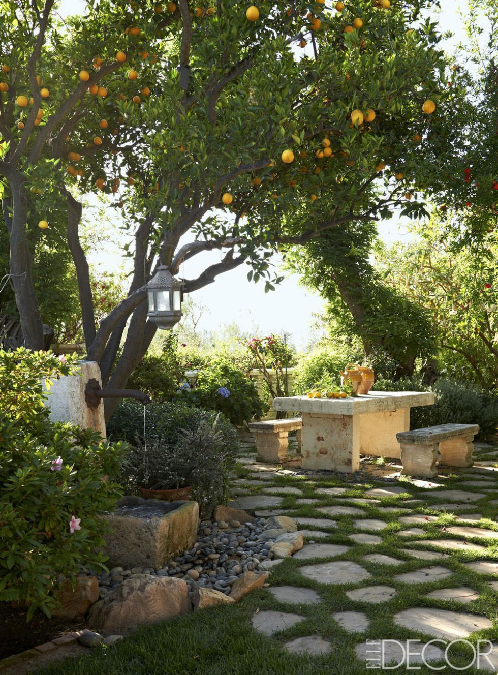 The Beauty of Garden Design: Choosing the Perfect Trees for your Outdoor Space