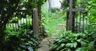 garden paths and walkways