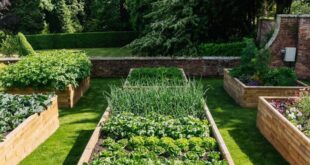 garden planter boxes